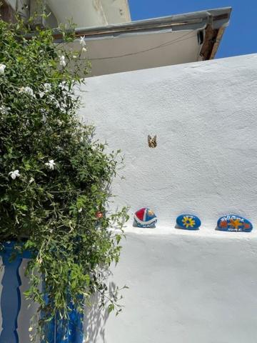 Marena 1 Apart otel Makrýgialos Dış mekan fotoğraf